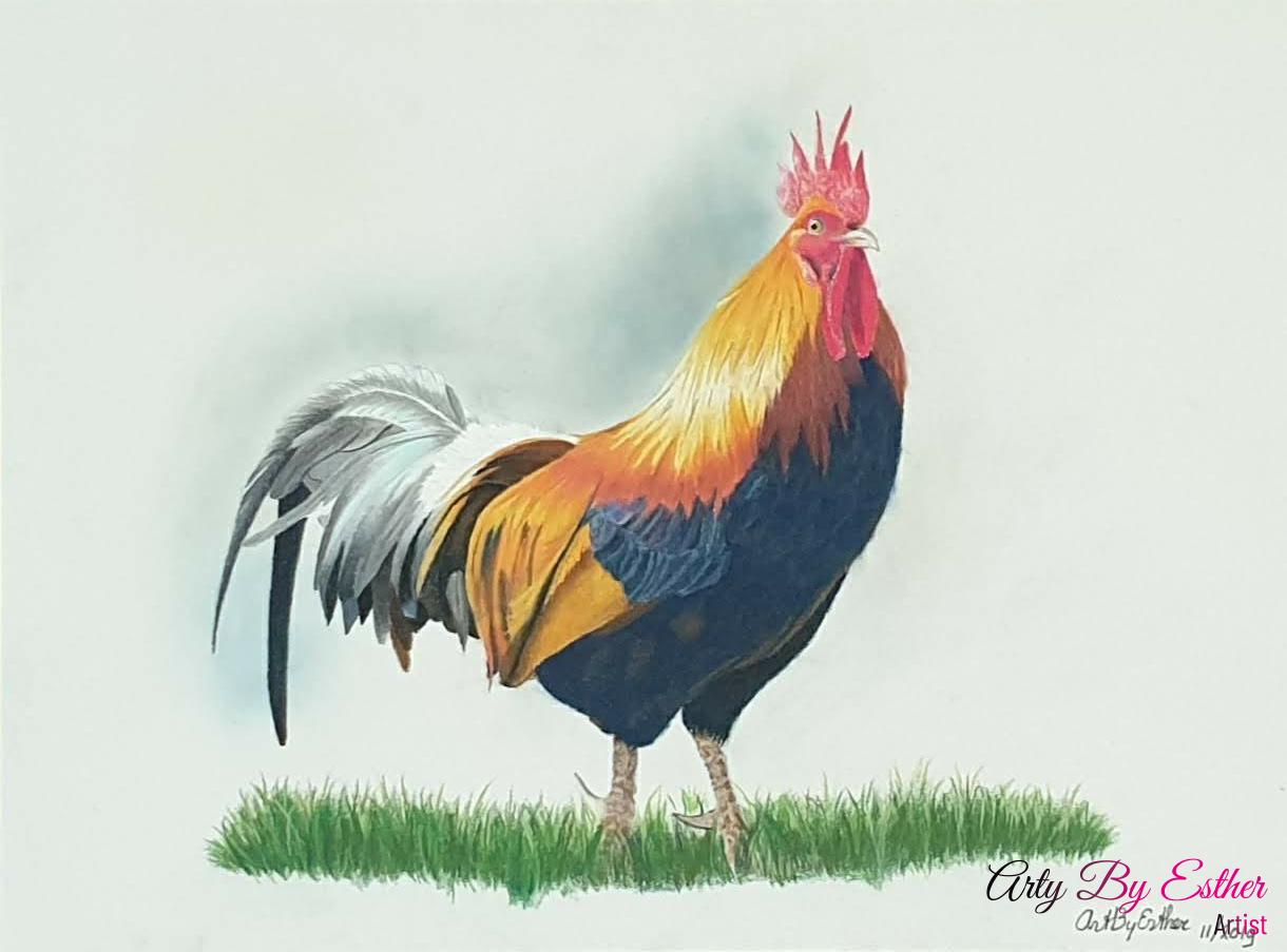 rooster Pastelpainting