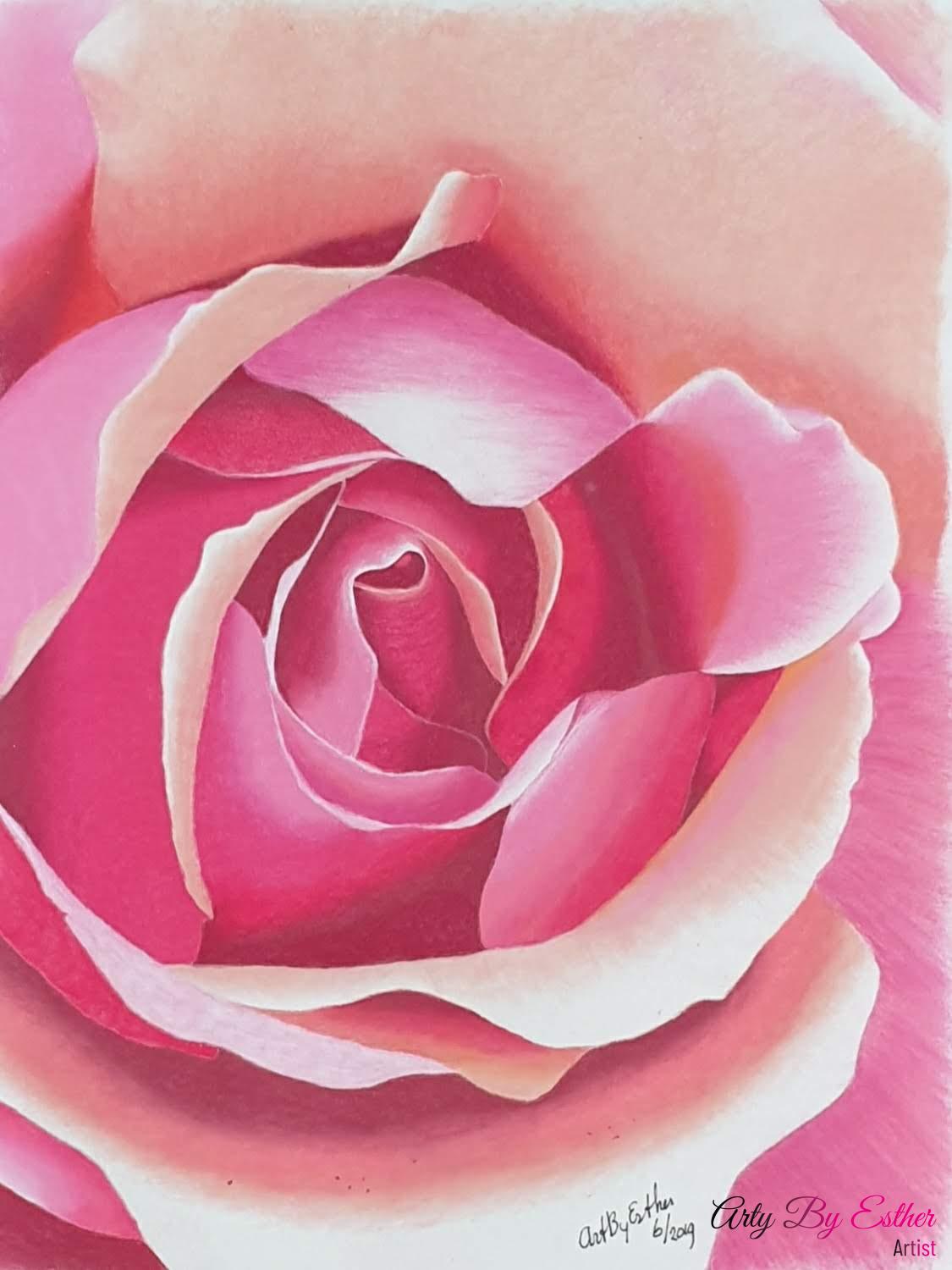 Rose pastelpainting