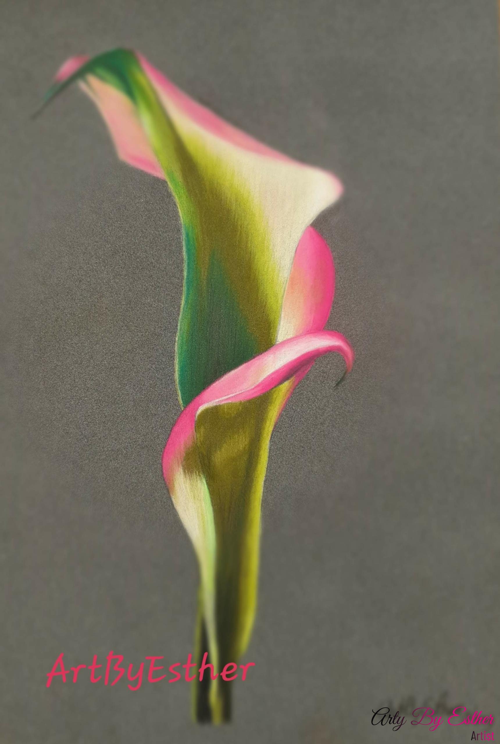 Calla pastelpainting flower