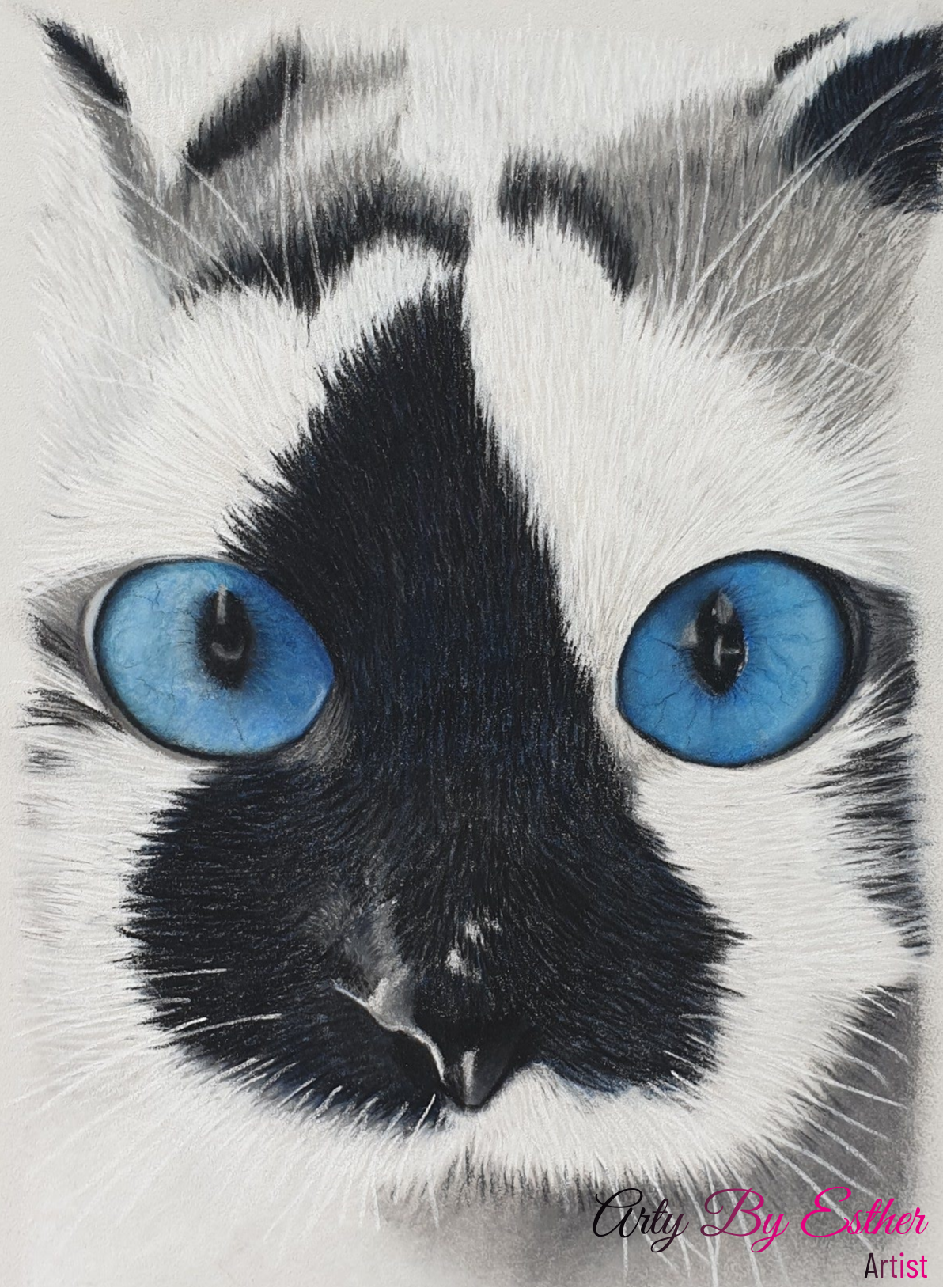 Mister blueeyes Pastelpainting cat