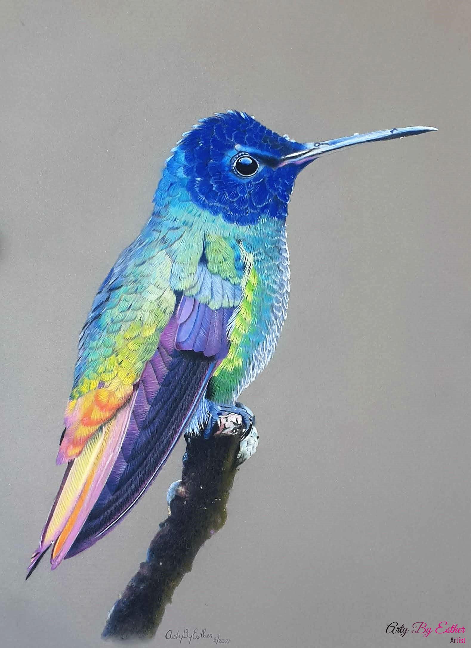 Hummingbird made by Arty By Esther pastelpainting