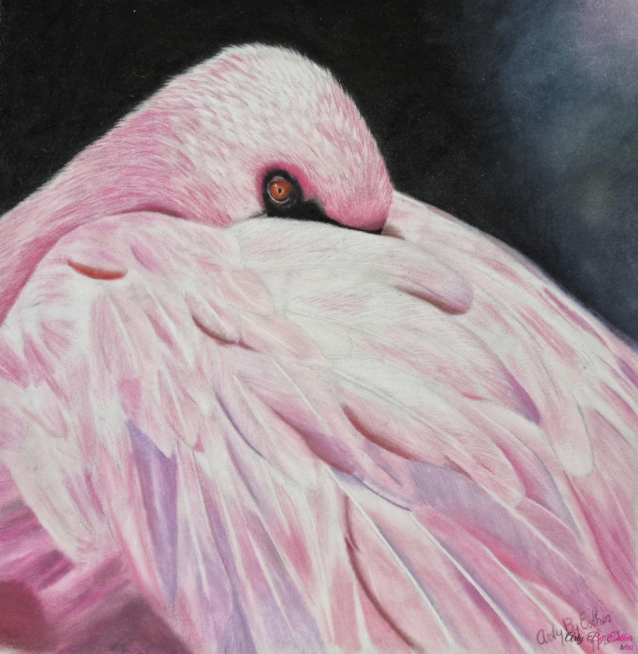 pink flamingo pastelpainting