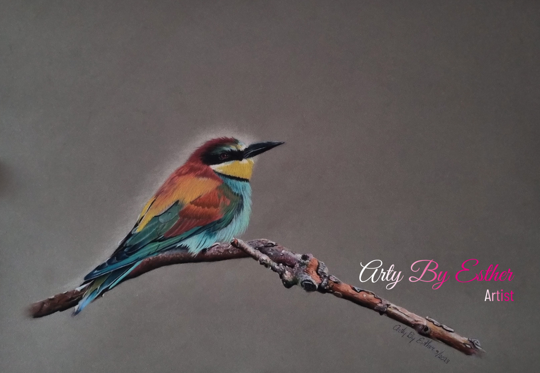 Bee-Eater Bird on a branch Pastel painting done with pastel pencils