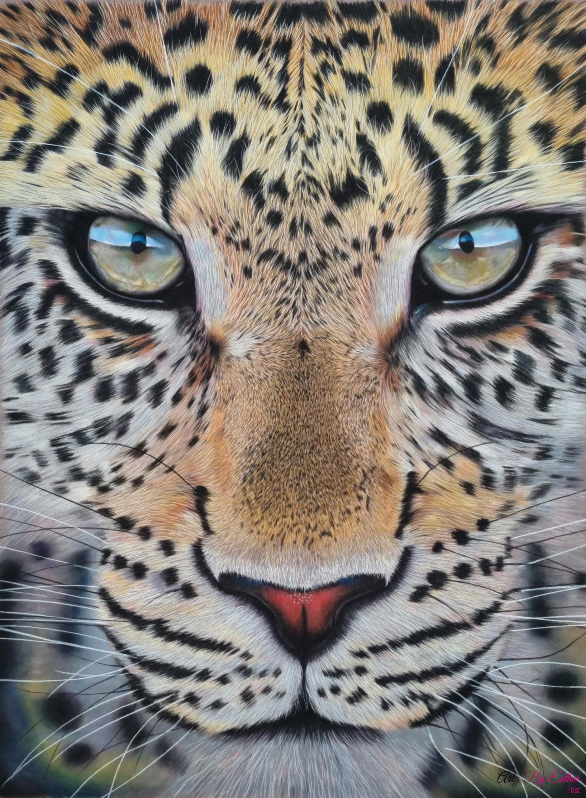 Pastel painting of a Leopard